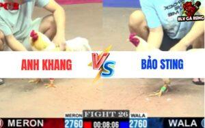 Trận 26 CPC2 Ngày 23/5/2025 - Anh Khang Vs Anh Bảo Sting Trận 26 CPC2 Ngày 23/5/2025 - Anh Khang Vs Anh Bảo Sting