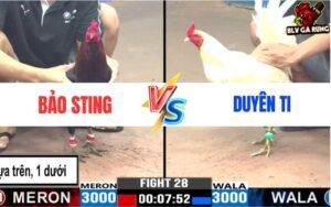 Trận 28 CPC3 Ngày 24/6/2024 - Anh Bảo Sting Vs Anh Duyên Ti Trận 28 CPC3 Ngày 24/6/2024 - Anh Bảo Sting Vs Anh Duyên Ti