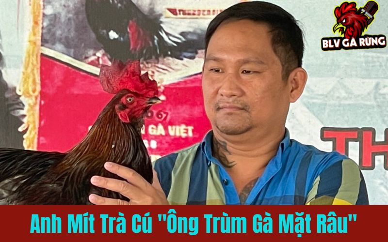 Anh Mít Trà Cú – “Ông Trùm Gà Mặt Râu” Anh Mít Trà Cú – “Ông Trùm Gà Mặt Râu”