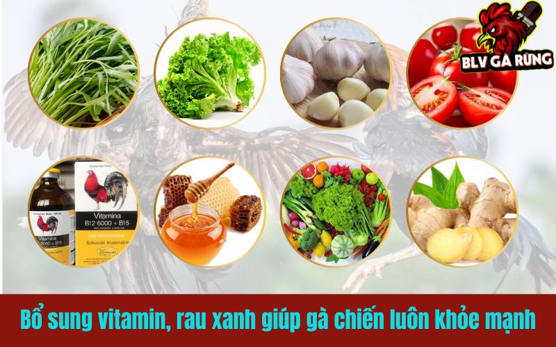 Bổ sung vitamin, rau xanh giúp gà chiến luôn khỏe mạnh Bổ sung vitamin, rau xanh giúp gà chiến luôn khỏe mạnh