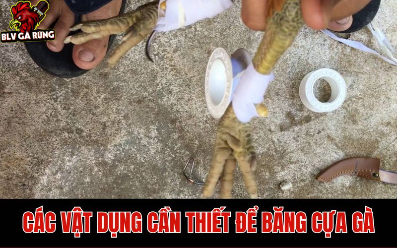 Các vật dụng cần chuẩn bị để băng cựa gà đá