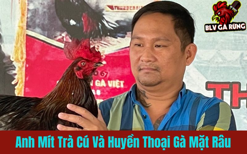 Cách phát huy tiềm năng chiến đấu đỉnh cao của gà mặt râu Cách phát huy tiềm năng chiến đấu đỉnh cao của gà mặt râu