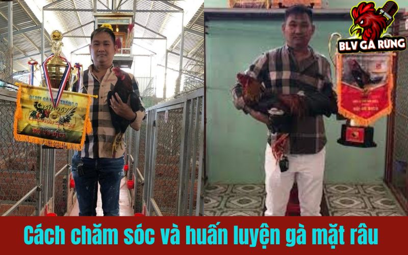 Gà mặt râu và những trận đấu kinh điển của anh Mít Trà Cú Gà mặt râu và những trận đấu kinh điển của anh Mít Trà Cú