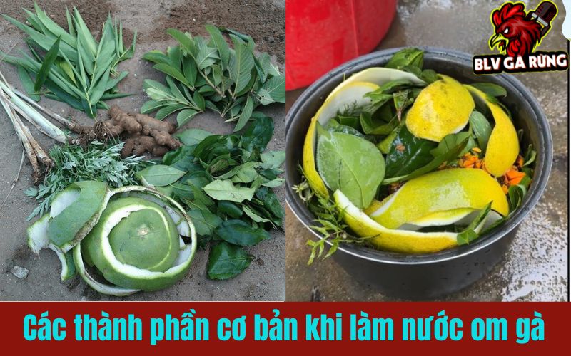 Mỗi sư kê đều có công thức pha chế nước om gà khác nhau Mỗi sư kê đều có công thức pha chế nước om gà khác nhau