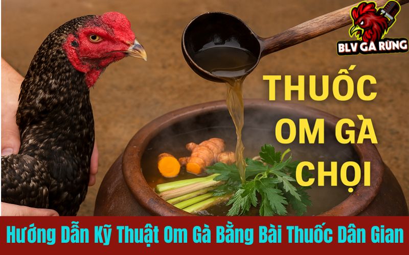 Om gà đúng cách giúp gà khỏe mạnh tăng sức bền Om gà đúng cách giúp gà khỏe mạnh tăng sức bền