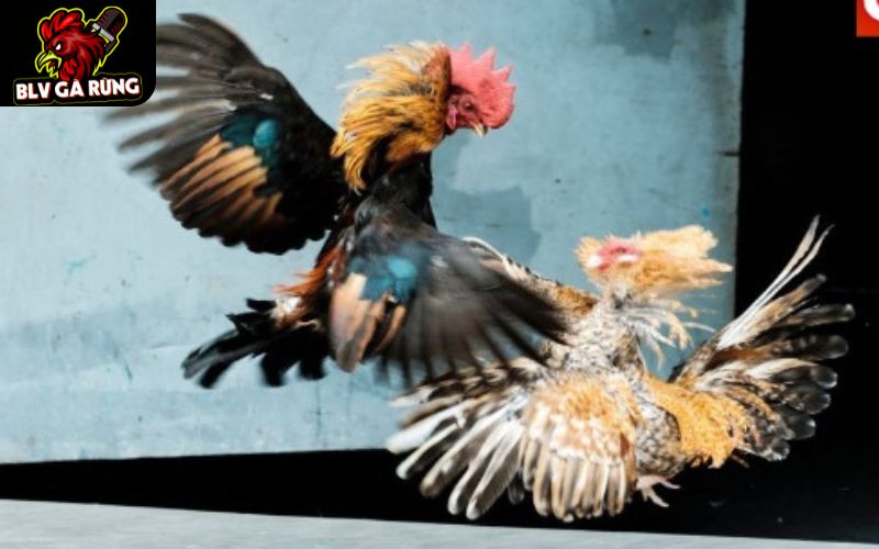 Tốc độ tải trận đấu tại 8KBET nhanh chóng và mượt mà