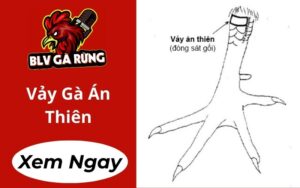 Vảy Gà Án Thiên